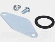 Starter Motor Blanking Plate- Aerox/ Minarell...