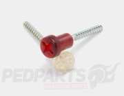 Tail Light Lens Screws- Gilera Runner/ NRG MC3