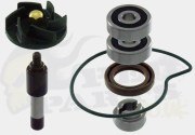 Water Pump Repair Kit - Vespa GTS 250/300cc