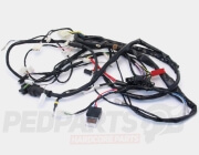 Wiring Loom- Piaggio Zip 50cc 2-Stroke A/C