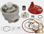 Airsal Extreme 50cc Racing Cylinder Kit- Minarelli AM6