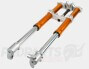 Complete USD Forks- Rieju MRT Pro