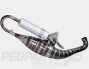 DDL Racing Exhaust System- Malossi RC/C-One (Aerox)