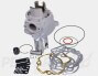 Malossi MHR Team 50cc Cylinder Kit- Piaggio L/C