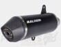 Malossi RX Black Exhaust- Honda Forza 350cc Euro5