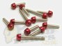 Piaggio Transmission Cover/ Side Casing Bolts