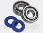 Polini 50cc Cylinder & Crank Kit- Derbi D50B