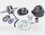 Polini 50cc Cylinder & Crank Kit- Minarelli AM6