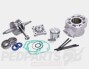 Polini 80cc Cylinder & Crank Kit- Derbi D50B
