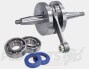 Polini 80cc Cylinder & Crank Kit- Derbi D50B