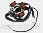 Polini Ignition System- Gilera Runner 125/180cc