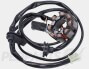 Polini Ignition (With Lights)- AM6/ Derbi