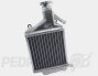 Radiator- Honda PCX/ SH125 21-25