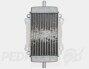 Radiator- Vespa GT/ GTS/ GTV 125-310cc