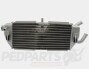 Radiator- Yamaha XMAX 125cc 06-09