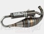 Stage6 R/T FL 70 Exhaust- Malossi RC/C-One