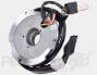 Stator Plate - Gilera Runner 125/180 FX/R