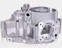 TPR Factory 100cc Crankcases- AM6