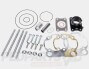 TPR Factory 100cc Cylinder Kit- AM6