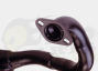Tecnigas Silent-Sport Exhaust - Piaggio/ Gilera 50cc